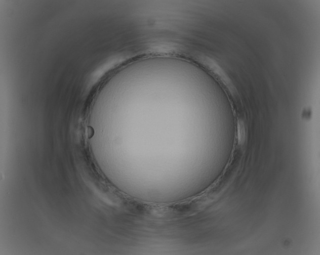 X0000092290579200709281308