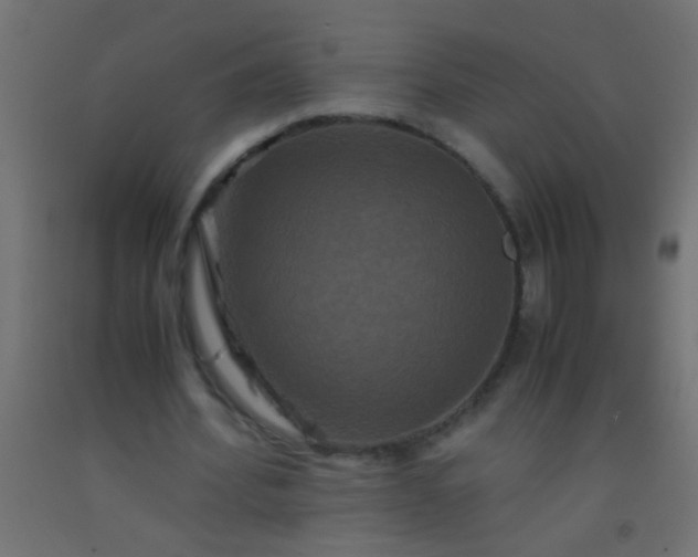 X0000092290580200709281308