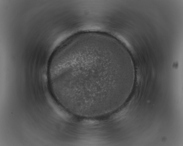 X0000092290582200709281308