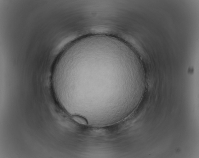 X0000092290583200709281308