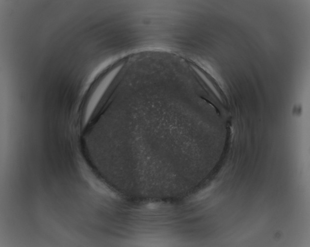 X0000092290584200709281308