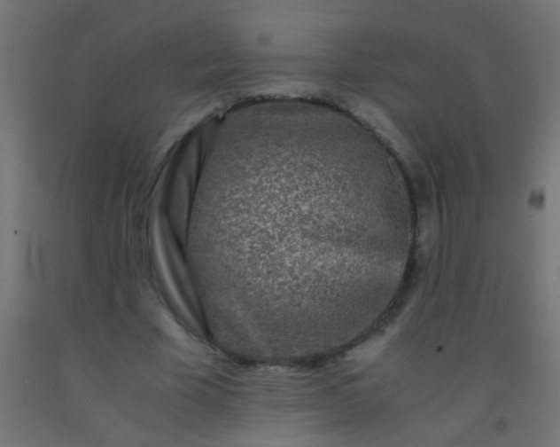 X0000092290585200709281308