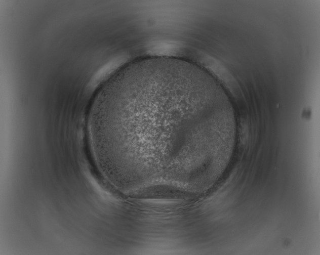 X0000092290586200709281308