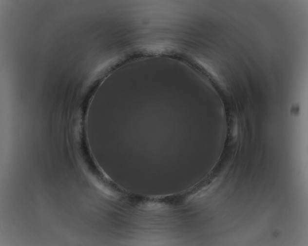 X0000092290590200709281308