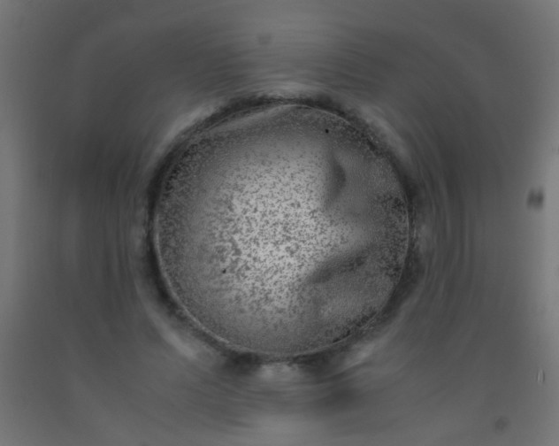 X0000092290591200709281307