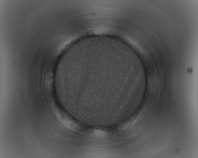 X0000092290592200709281307