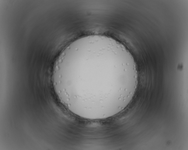 X0000092290594200709281307