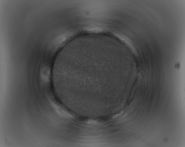 X0000092290596200709281307