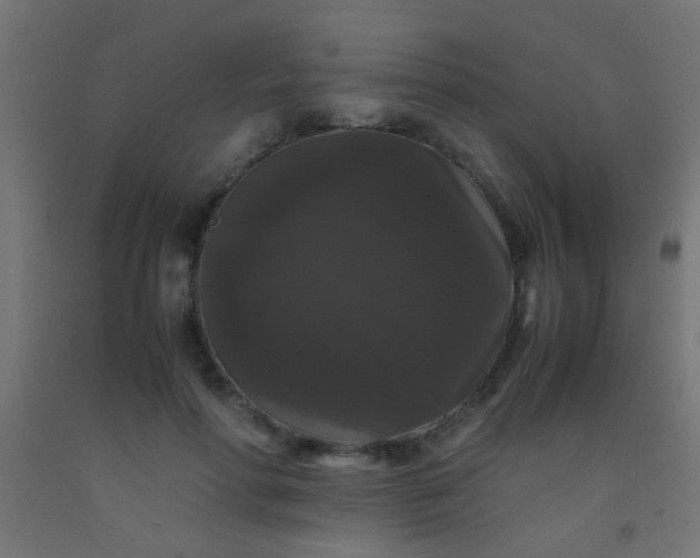 X0000092290598200709281307