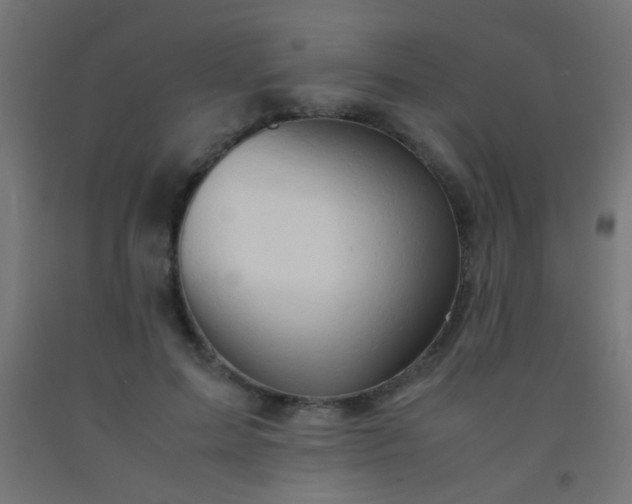 X0000092290599200709281307