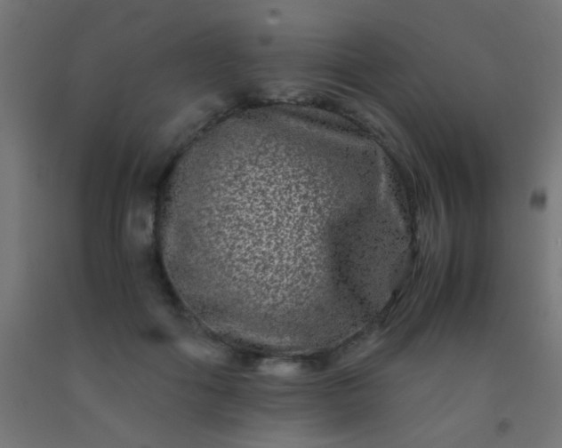 X0000092290602200709281307