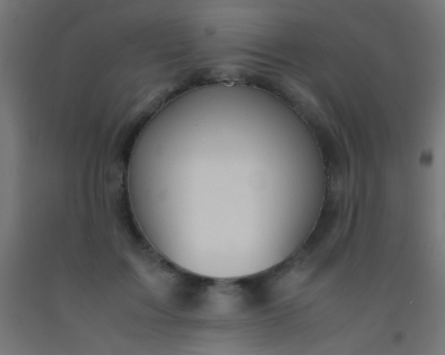 X0000092290603200709281307