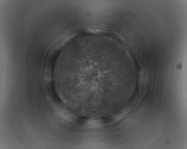 X0000092290606200709281307