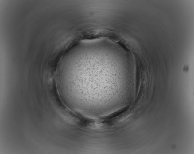 X0000092290607200709281307