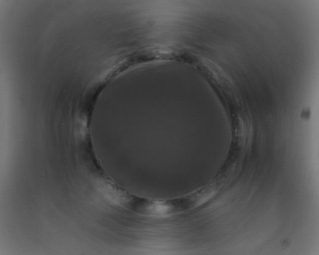 X0000092290610200709281307