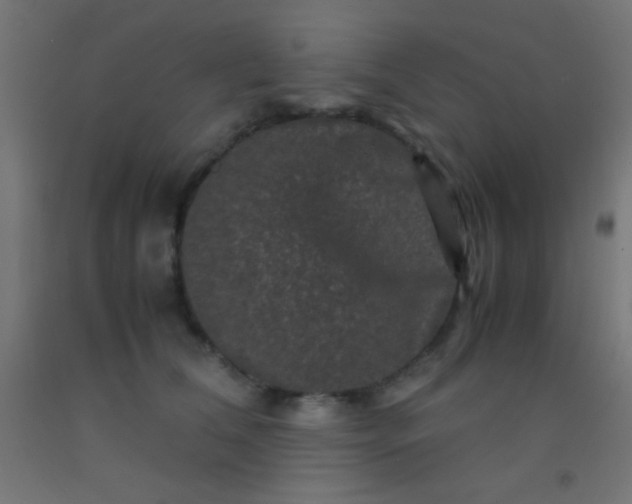 X0000092290612200709281307