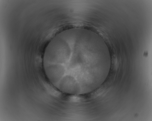 X0000092290614200709281307