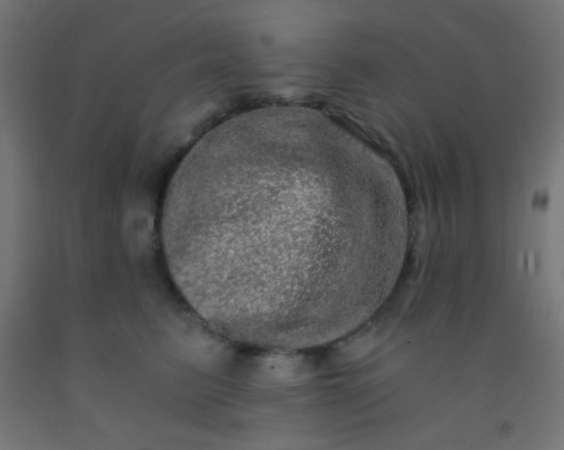 X0000092290615200709281307