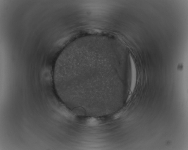 X0000092290616200709281307