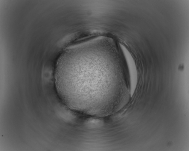 X0000092290619200709281307