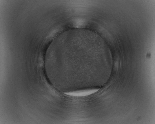 X0000092290620200709281307