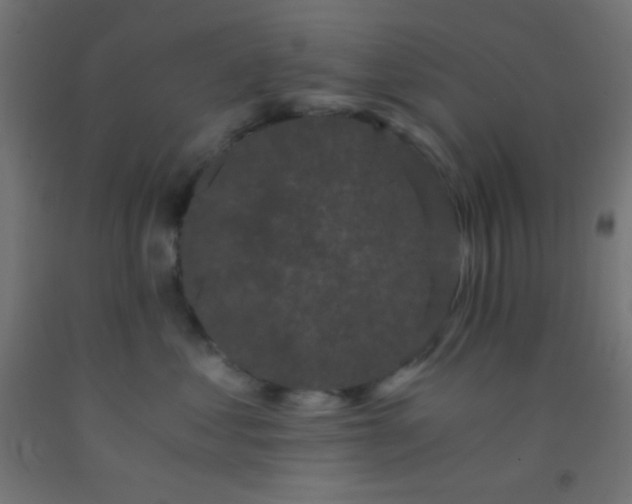 X0000092290621200709281307