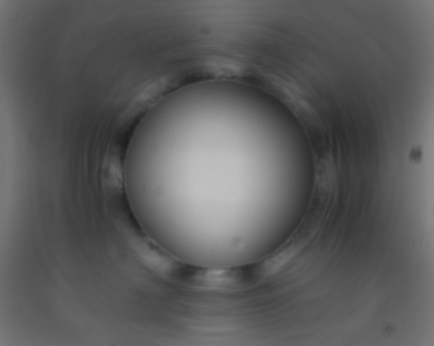 X0000092290622200709281307