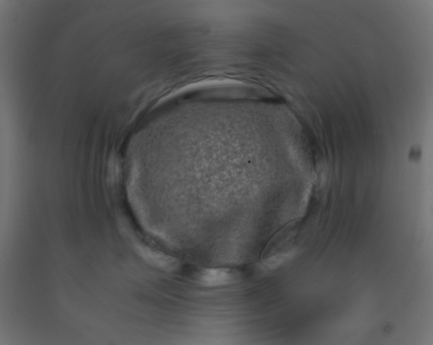 X0000092290623200709281307