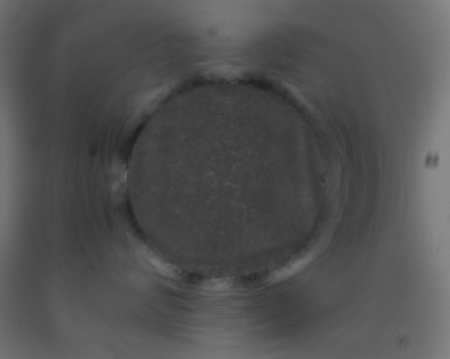 X0000092290624200709281307