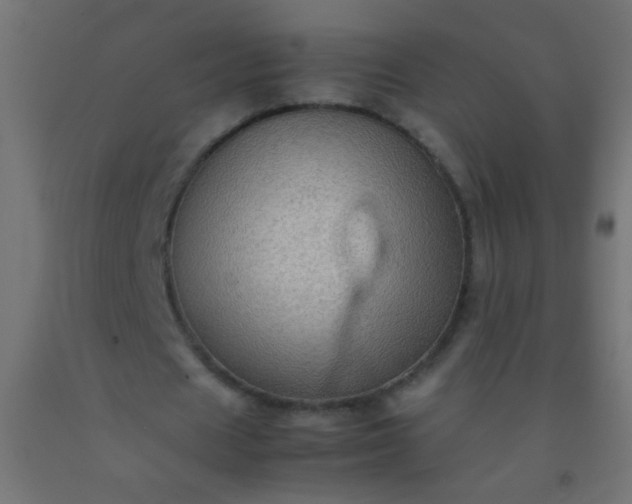 X0000092290625200709281306