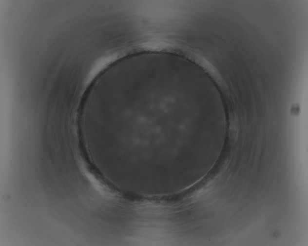 X0000092290626200709281306