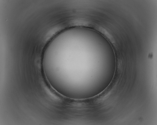 X0000092290629200709281307