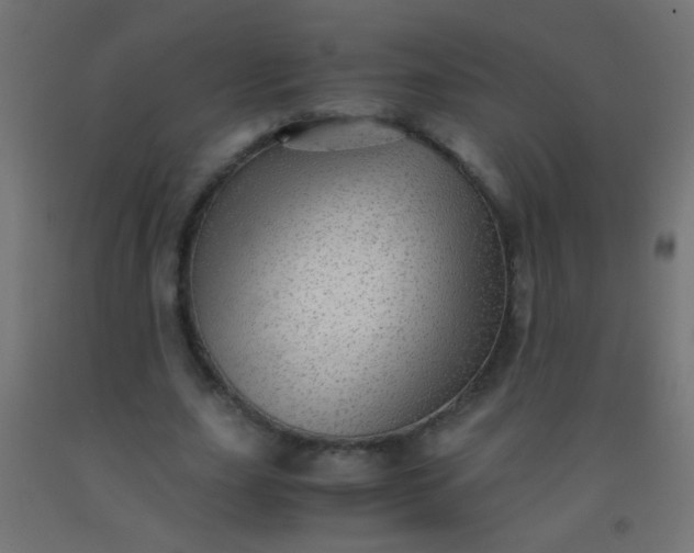 X0000092290631200709281307