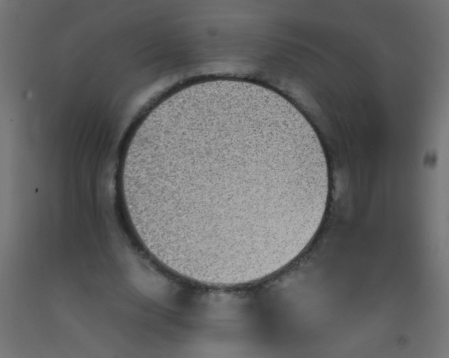 X0000092290632200709281307