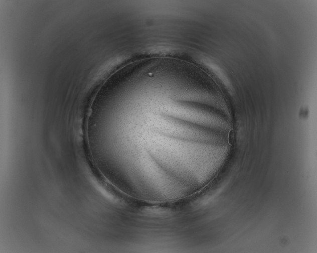 X0000092290633200709281307