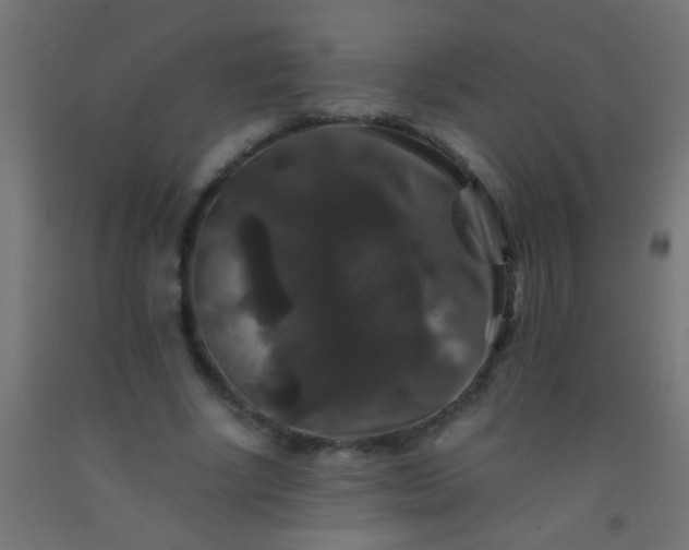 X0000092290634200709281307