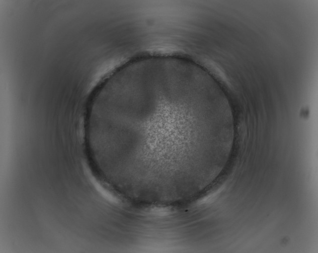 X0000092290638200709281307