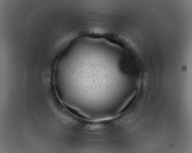 X0000092290639200709281307