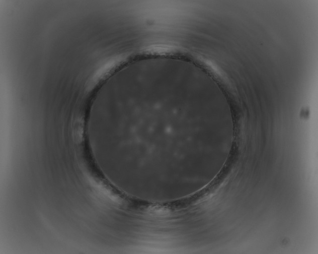 X0000092290640200709281307