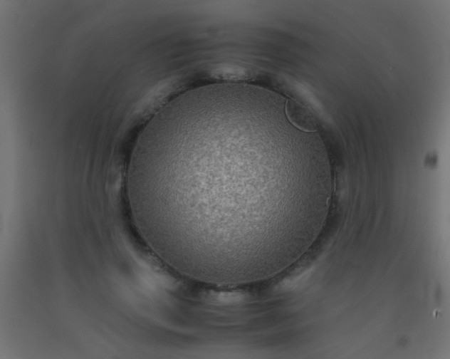 X0000092290645200709281307