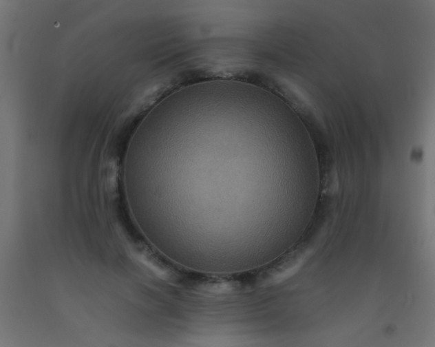 X0000092290646200709281307