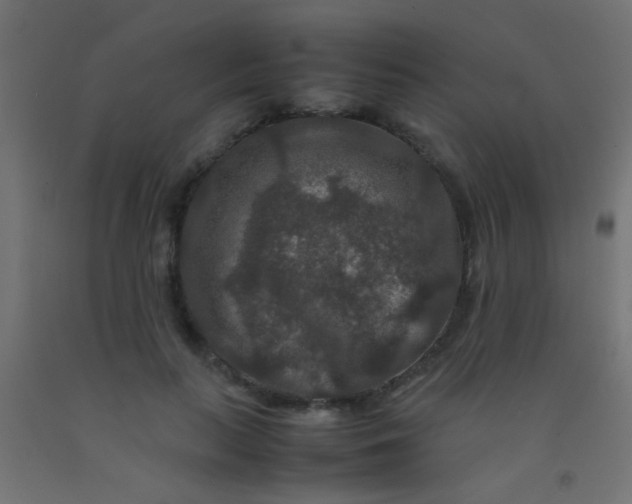 X0000092290647200709281307