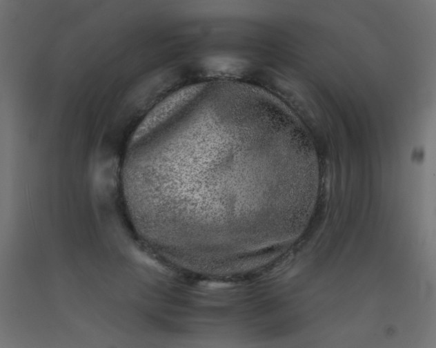 X0000092290649200709281307