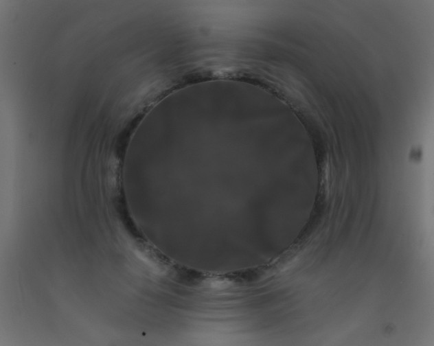 X0000092290650200709281307