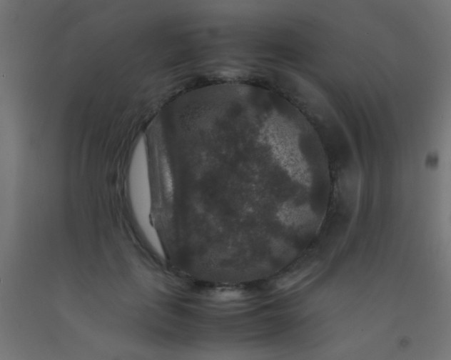 X0000092290651200709281307