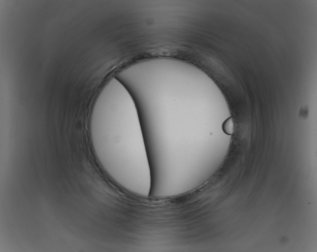 X0000092290652200709281307