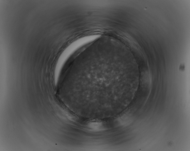 X0000092290653200709281307