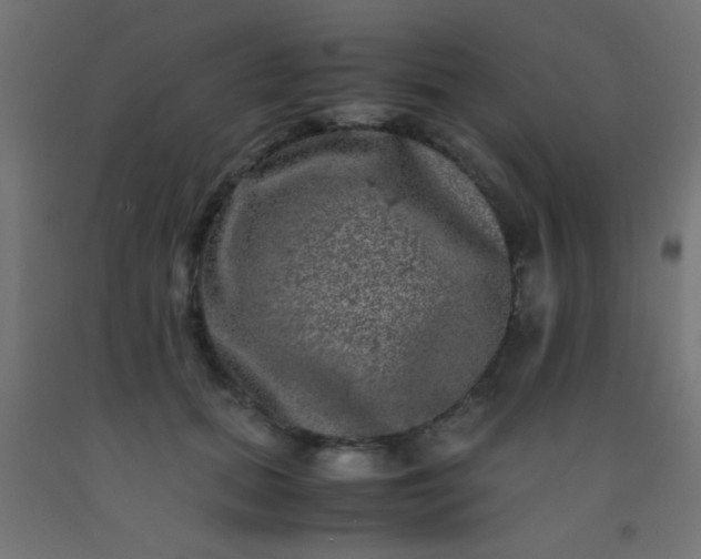 X0000092290655200709281307