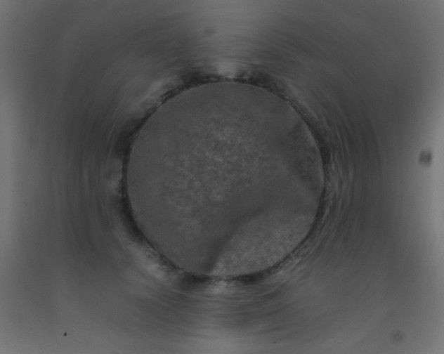 X0000092290656200709281307