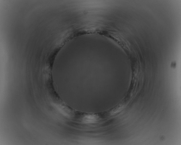 X0000092290659200709281307